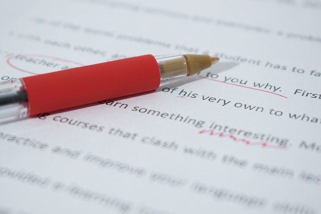 Escritura de Ensayos
