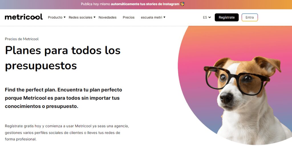 Maximiza tu presencia utilizando la automatización de redes sociales con estas 6 herramientas 4 automatización de redes sociales