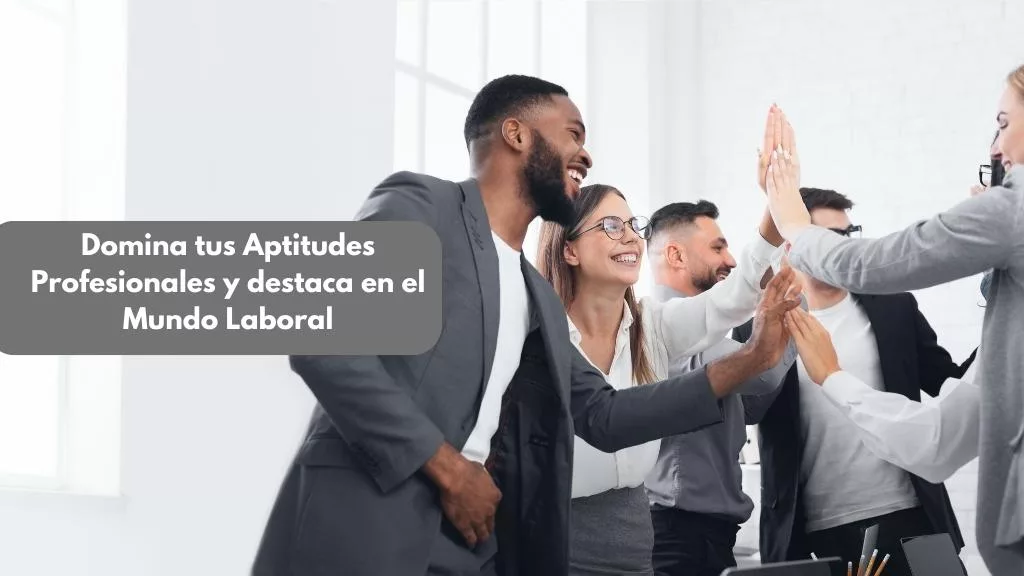 Aptitudes Profesionales