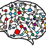 ¿Para qué sirven las redes neuronales? Artificial Neural Network